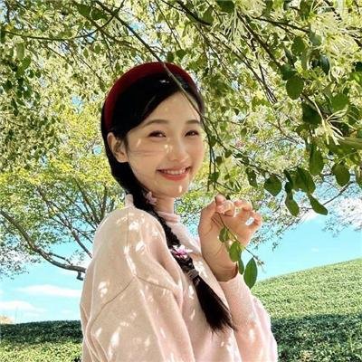 掉链子刑警